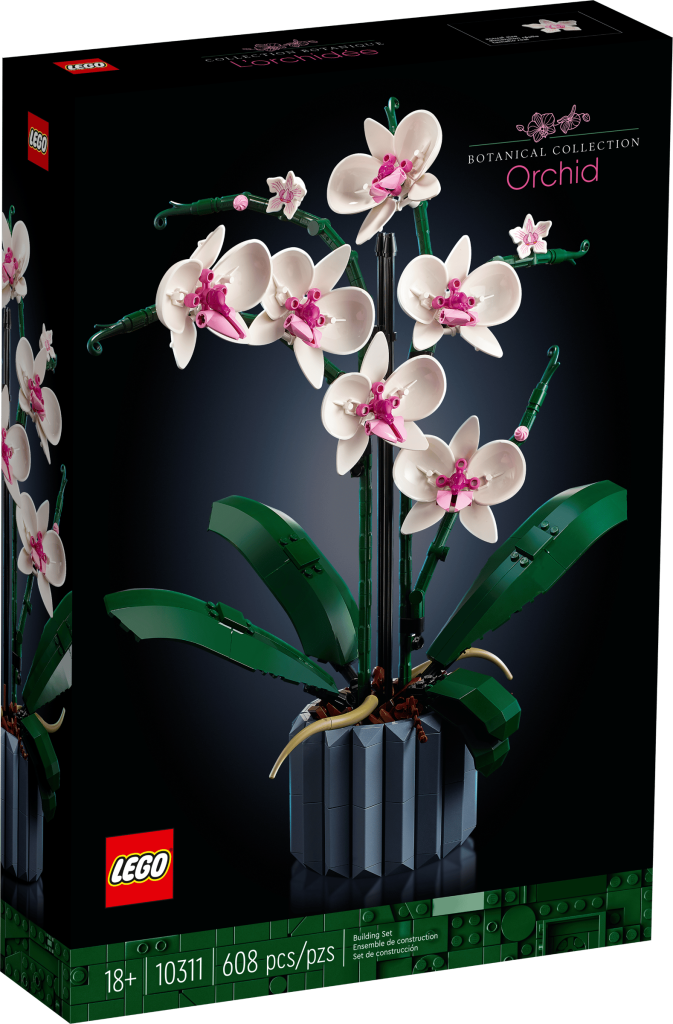 10311 — Orchidea